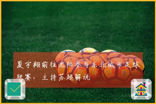 夏宇翔前往沈阳参与东北城市足球联赛，主持苏超解说